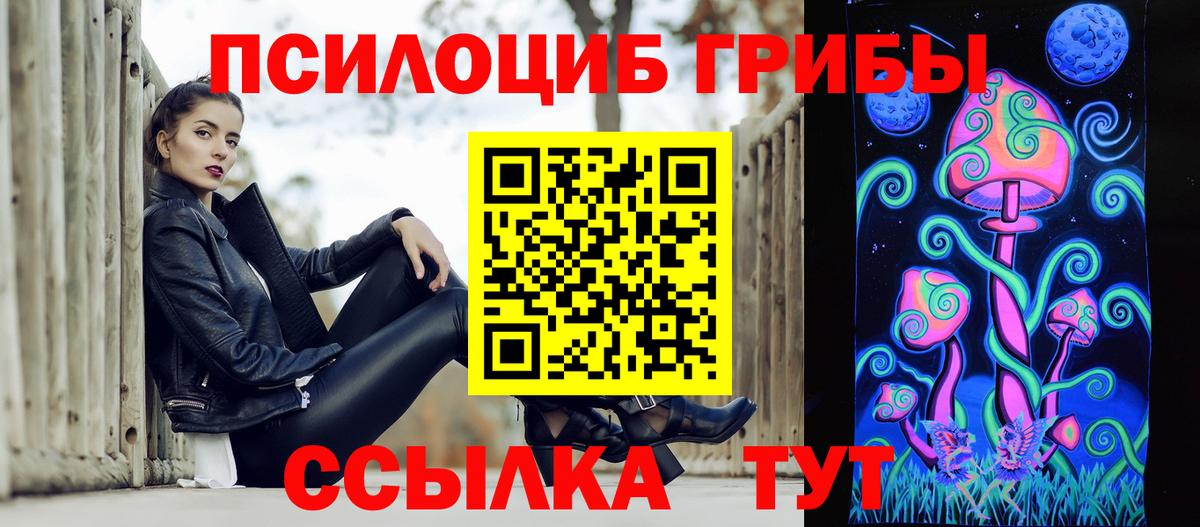 Тара  Псилоцибиновые грибы Psilocybe  Вход с VPN 